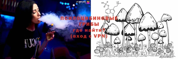 2c-b Алзамай