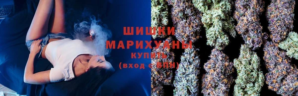 2c-b Алзамай