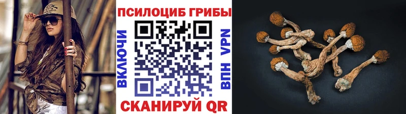 Галлюциногенные грибы прущие грибы  Никольское 
